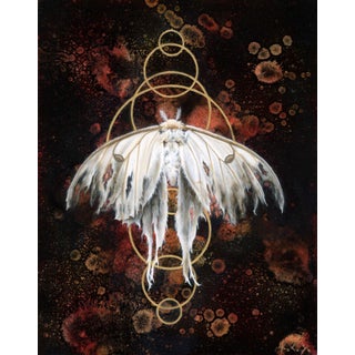 Sol by Kierstin Young | Oil on masonite panel of a white moth with golden circles in the background For Sale