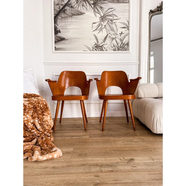 Bentwood Model 1515 Armchairs attributed to Oswald Haerdtl for Thonet / Ton, Former Czechoslovakia, 1960s, Set of 2 For Sale - Image 13 of 18
