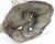 Off-white Metal Fish Fountain Head 20th Century Cast For Sale - Image 8 of 11
