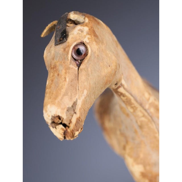 Antique Horse Covered in Genuine Horse Hide with Glass Eyes, 1890 For Sale - Image 9 of 16