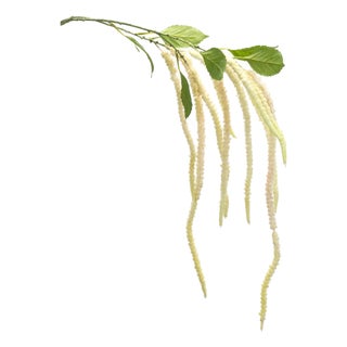 Amaranthus Floral Stem (Set of 4) For Sale