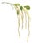 Amaranthus Floral Stem (Set of 4) For Sale