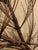 Metal Curtis Jere Nature Series Pine Tree Branch Wall Art Hanger Wrought Iron C. Jere For Sale - Image 7 of 11