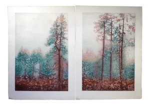 1980s "Hollister Ranch I and II" Landscape Etchings by Catherine O'Connor - a Pair