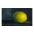 Vintage Traditional Dutch Sill Life ‘Lemon’ Small Original Oil Painting in Ink Blue, Yellow, Dark Green For Sale