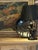 Beautiful Rocky Coast oil painting. Signed, James Penney (1910-1982) A treasured find for collectors and enthusiasts of...