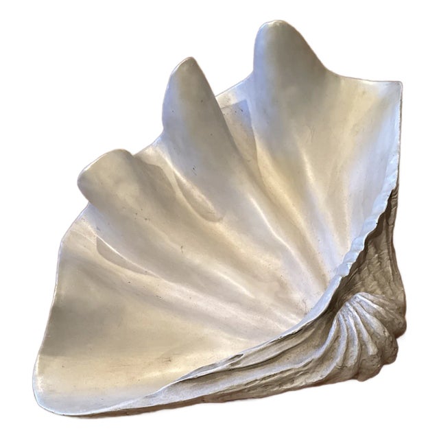Large Decorative Shell For Sale