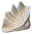 Large Decorative Shell For Sale