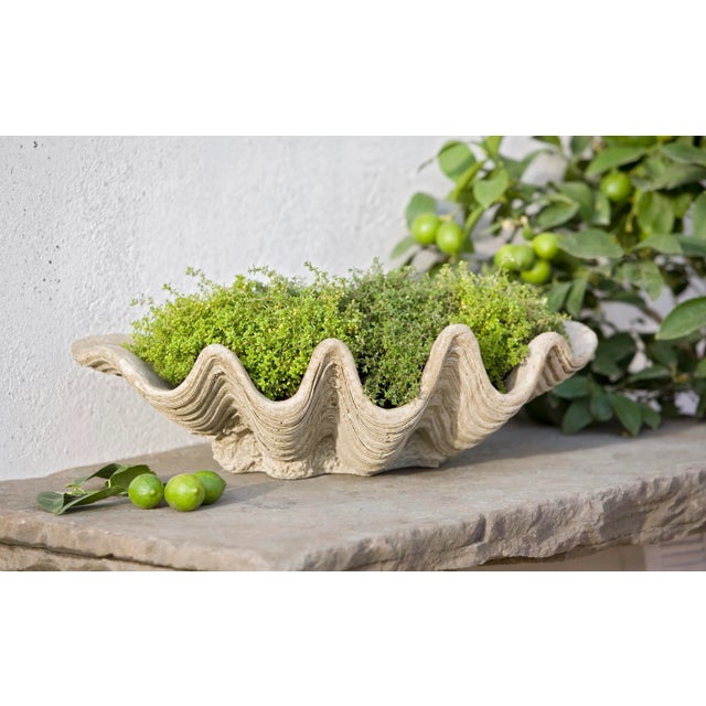 A cast stone planter in the shape of a clam shell, with a Verde finish. This listing is for the planter only. No plants...