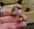 Lori Bonn Sterling Silver Citrine Clip on Earrings, Pair For Sale - Image 11 of 13