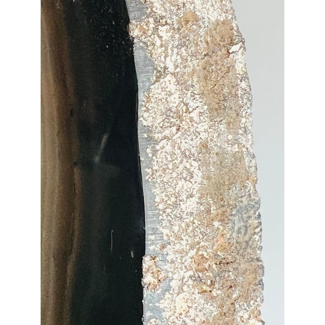 Mid 20th Century Agate Geode Stone For Sale - Image 4 of 5