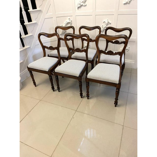 Antique Victorian Rosewood Dining Chairs, 1850s, Set of 6 For Sale - Image 4 of 15