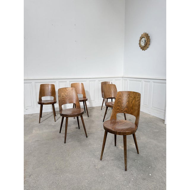 Tan Frosted Brown Chairs from Baumann, 1960s, Set of 6 For Sale - Image 8 of 8