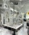 Andromeda is considered the most creative and forward-thinking designer of Murano Glass Lighting in all of Italy. The...
