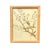 1893 Herbarium Botanical Specimens, Set of 12 For Sale - Image 13 of 17