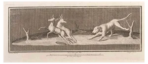 Luigi Aloja, Decoration with Animals, Etching, 18th Century