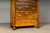 Metal Gründerzeit Chest of Drawers For Sale - Image 7 of 18