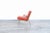 Mid-Century Modern Danish Modern Boomerang Chair by Peter Hvidt and Orla Molgaard-Nielsen For Sale - Image 3 of 10