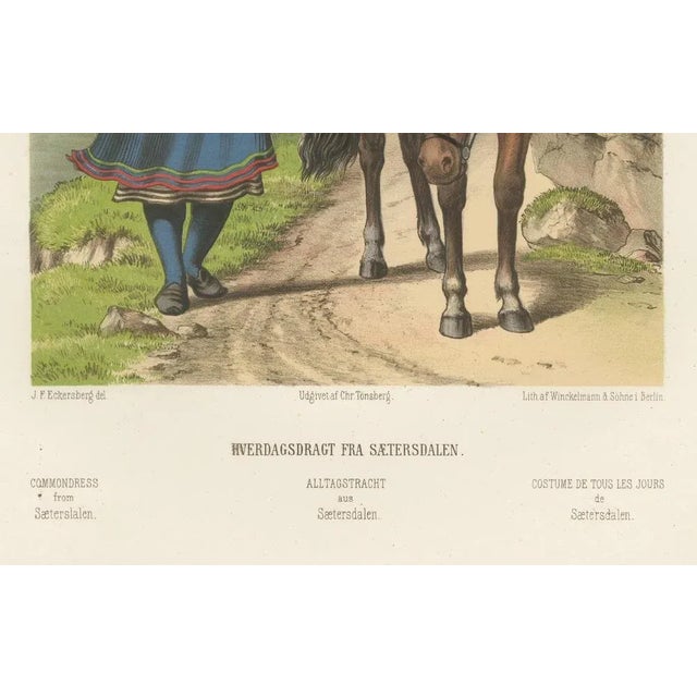 Norwegian Everyday Dress from Saetersdalen – Tonsberg Edition, 1860s This detailed 19th-century chromolithograph presents...