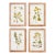 Golden Wildflower Study, Set Of 4 For Sale