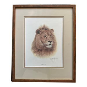 1980s Charles Frace “African Lion” Artist Proof Print Price Reduction!!!