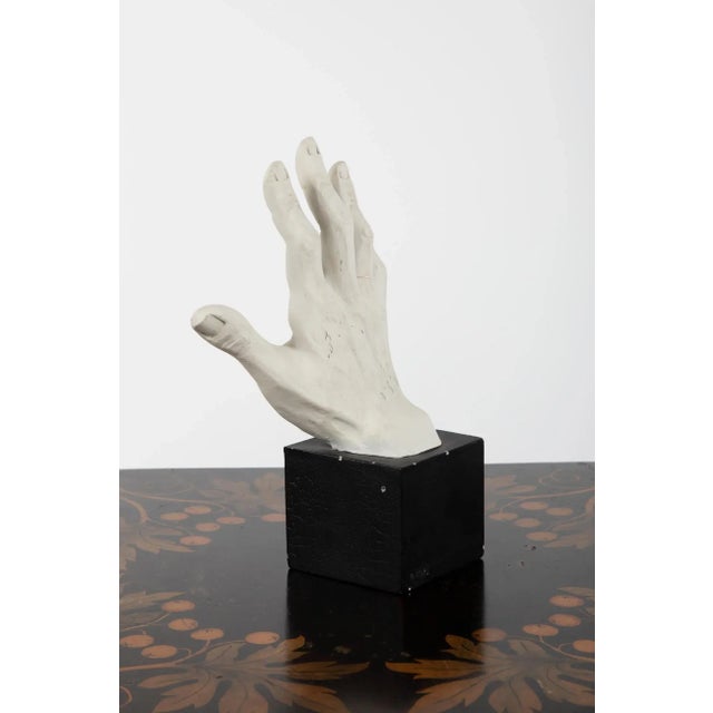 Anatomical plaster study of a man’s hand, sitting on an oak plinth base. With wonderful definition to the fingers and...