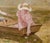 Impressionist Helena Adele Dunlap Rowing on the River, 1908 For Sale - Image 3 of 7