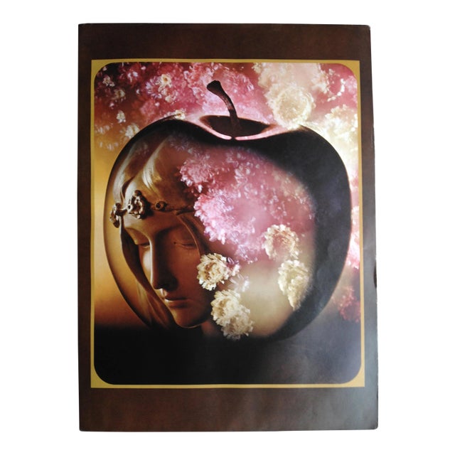 1970's Vintage Sam Haskins Print For Sale