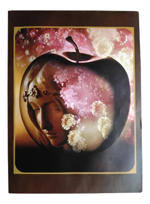 1970's Vintage Sam Haskins Print