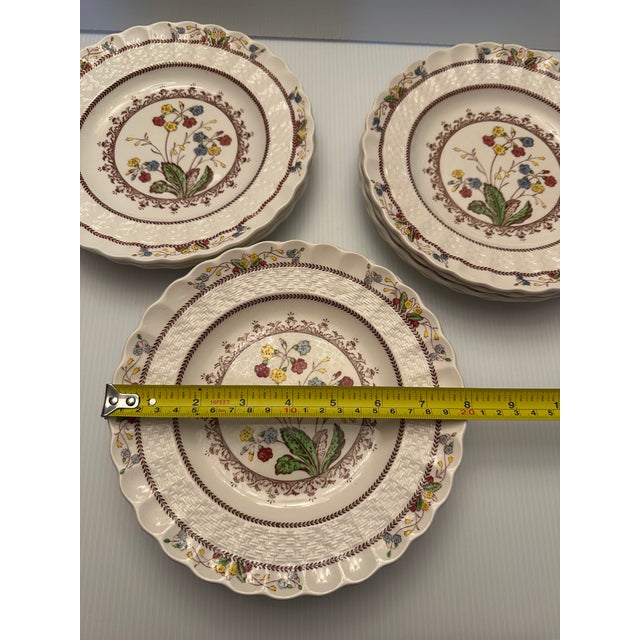 Spode Vintage England Copeland Spode Cowslip Salad Plates Set of 11 Produced Between 1934 and 1969 For Sale - Image 4 of 9
