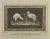 Ancient roman fresco from the series "antiquities of herculaneum", is an etching on paper realized by carlo oratij in the...