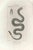 Pierre Jean François Turpin, Crotalo, Pit viper, Etching, 1831 For Sale - Image 3 of 3