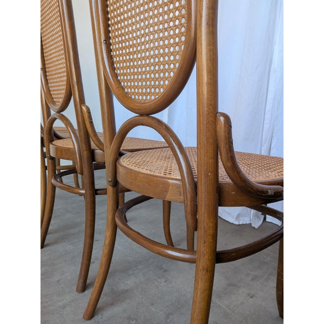 Mid-Century Bentwood Cane Dining Chair, Yugoslavia, 1970s, Set of 6 For Sale - Image 12 of 18
