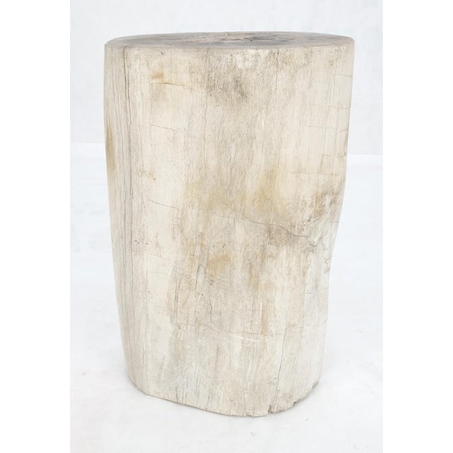 Mid-Century Modern Large Beige Petrified Wood Organic Stomp Shape Stand End Side Table Pedestal For Sale - Image 3 of 9