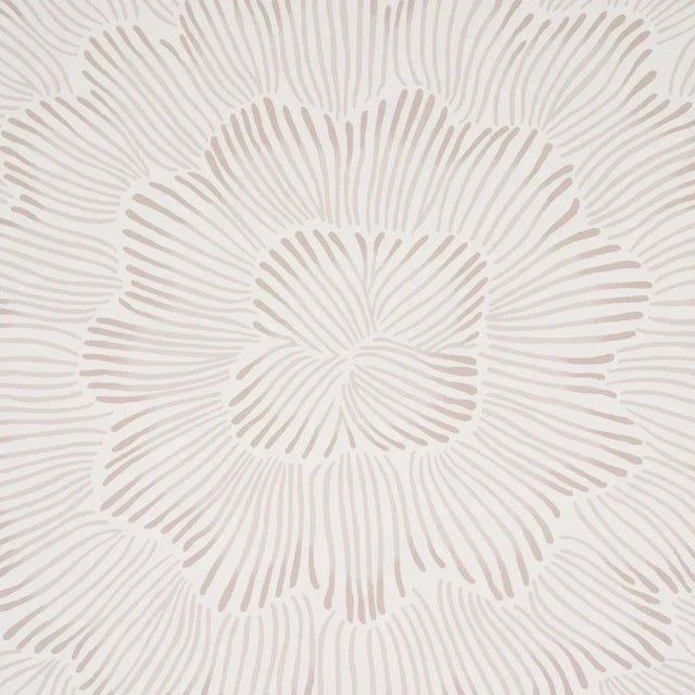 Schumacher x Celerie Kemble Feather Bloom Wallpaper in Soft Neutral Chairish