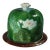 Holdcroft Majolica Pond Lily Cheese Dome and Stand For Sale