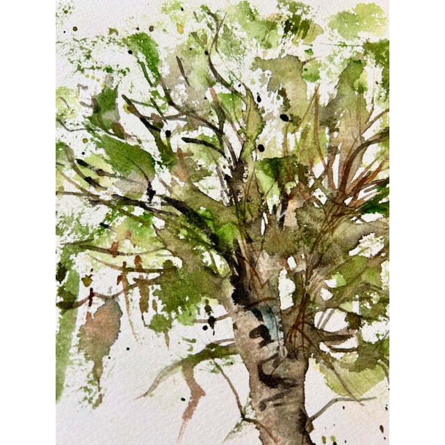 Giclee print of the watercolor painting “Avocado Tree”. Approximately 12 x 9 inches, unframed. No mat included.
