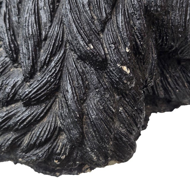 Scottish Terrier Dog Statue Black Cement Sculpture Realistic Scottie Large Vintage For Sale - Image 12 of 18