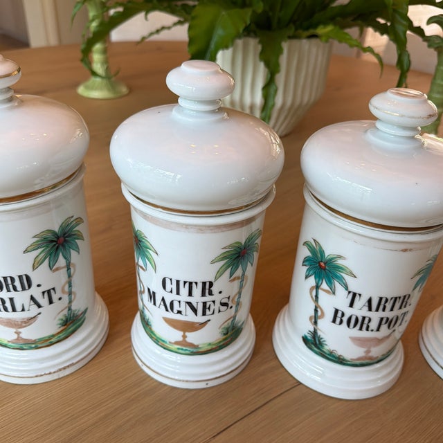 Set of 4 Antique Porcelain Apothecary Jars With Hand Painted Palm Tree and Serpent Decoration For Sale - Image 4 of 12