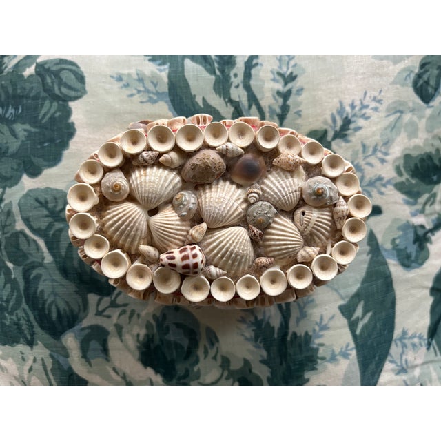 Vintage Palm Beach Style Oval Encrusted Shell Box For Sale - Image 16 of 16
