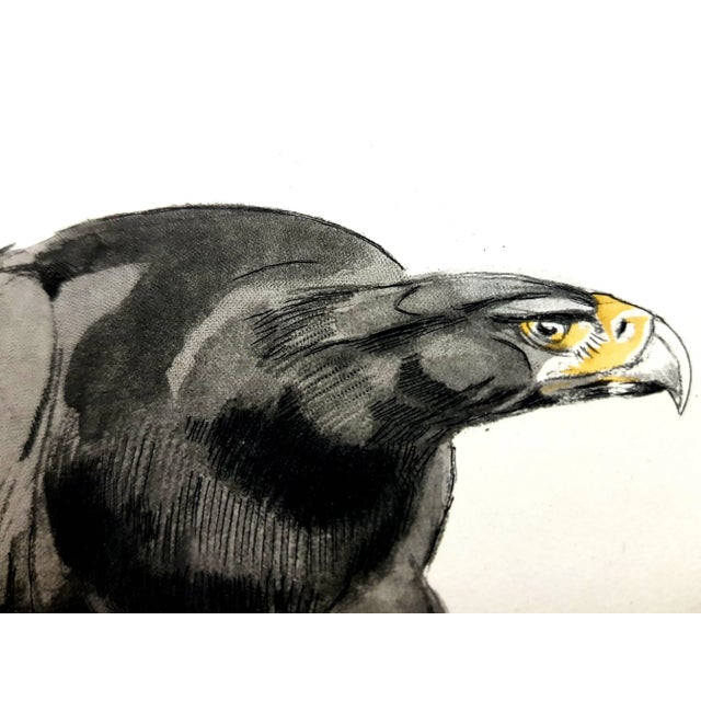 Early 21st Century Paul Jouve - Eagle - Original Engraving 1950 For Sale - Image 5 of 8