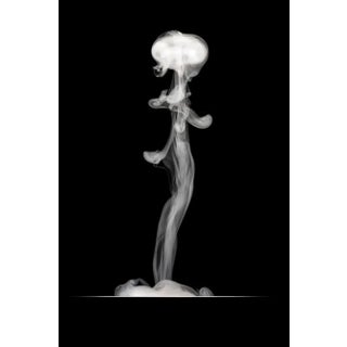 Female Creature - Photographic Print by George Diebold For Sale