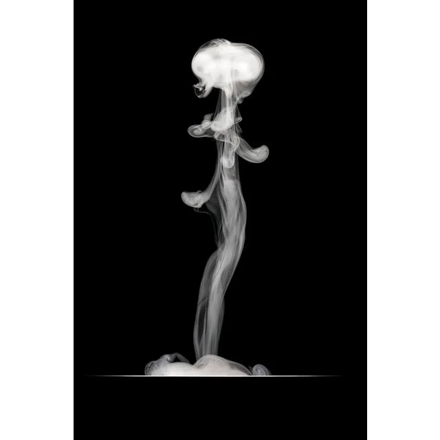 Female Creature - Photographic Print by George Diebold For Sale