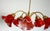 Vintage Brass and Glass 5-Light Chandelier, 1980s For Sale - Image 4 of 14