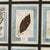 20th Century Italian Large Oak Frame with Pressed Flowers and Herbs For Sale - Image 17 of 18