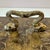 Hollywood Regency Vintage Lacquered Decoupage Box With Lion Head Handle For Sale - Image 3 of 9