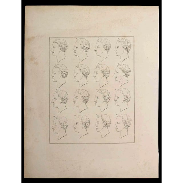 Profiles of man is an original etching artwork realized by Thomas Holloway for Johann Caspar Lavater's "Essays on...