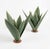 A striking pair of vintage-inspired botanical sculptures meticulously handcrafted from sheet metal, expertly capturing the...