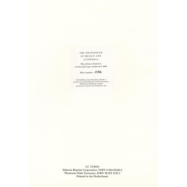 Large 1973 Orchid Flower Lithograph "Epidendrum Erubescens" (Blushing Epidendrum) After James Bateman For Sale In New York - Image 6 of 6