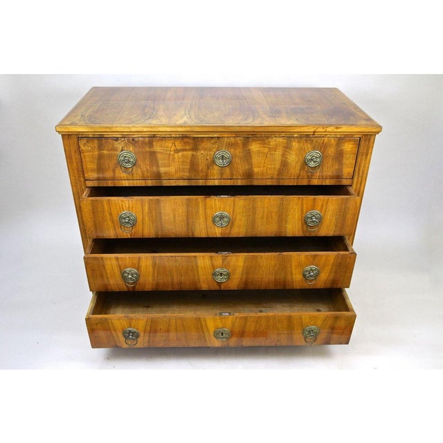 Antique Biedermeier Chest of Drawers, Austria, 1830 For Sale - Image 11 of 18